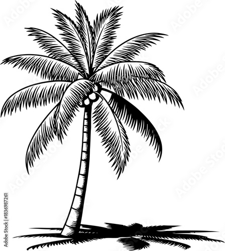 horizons embrace classic palm art, echoing paradise and tranquil retreats, isolated on transparent background