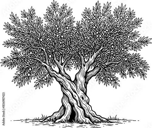 mediterranean heartbeat symbol of longevity, peace, and abundance, classically rendered, isolated on transparent background