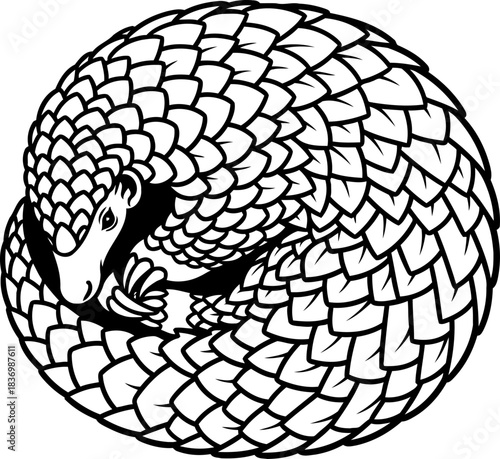 natures armored jewel a pangolins protective embrace in elegant line art, isolated on transparent background
