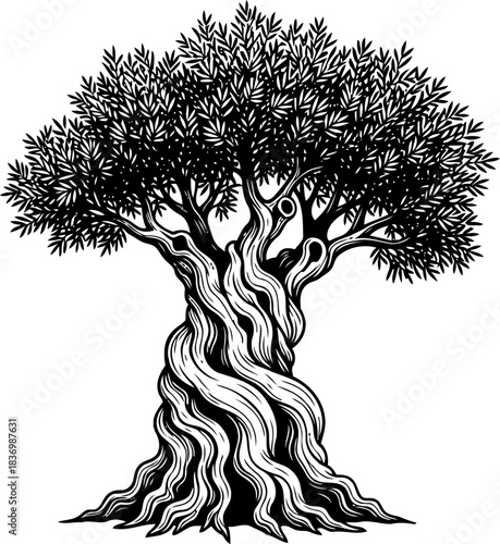 natures timeless chronicle an ancient trees resilient narrative etched in wood, isolated on transparent background