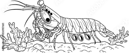 oceans apex hunter dynamic line art of a subaquatic warrior, isolated on transparent background