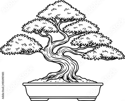 patience embodied natures art, masterfully shaped for inner peace and reflection, isolated on transparent background