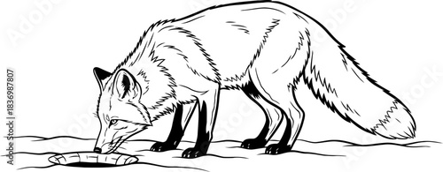 primal pursuit a fox embodies natures sustenance, driven by ancient instincts, isolated on transparent background