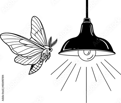 radiant pursuit a delicate insects eternal quest for illumination, isolated on transparent background