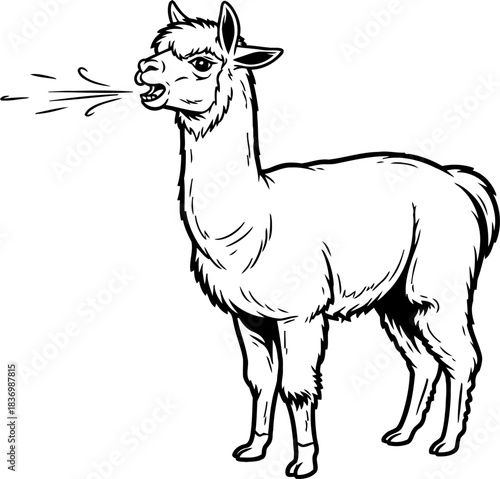 rebellious alpaca unleashing playful charm with a spit of attitude, isolated on transparent background