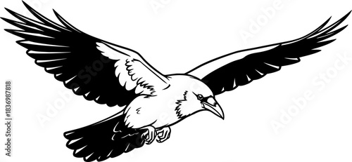 ravens spirit dynamic art capturing freedoms untamed, powerful flight, isolated on transparent background