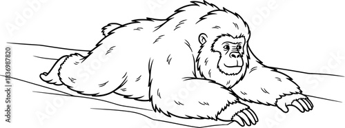 resting giant a minimalist ink sketch captures the primates calm presence, isolated on transparent background