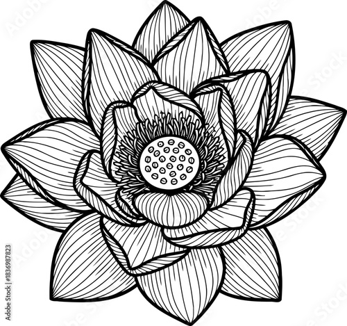 resilience in bloom a stylized tribute to natures serene endurance, isolated on transparent background