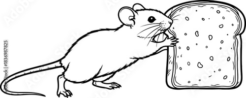 resourceful intruder a slice of lifes unseen daily scramble, isolated on transparent background