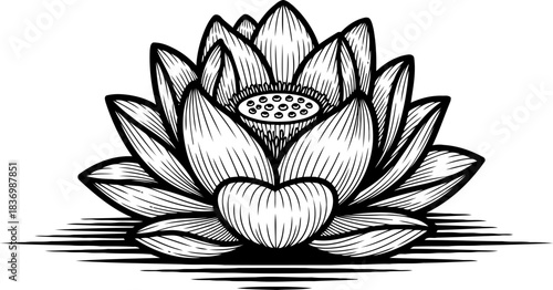 sacred bloom monochrome serenity unfolds, embodying enlightenments silent grace, isolated on transparent background