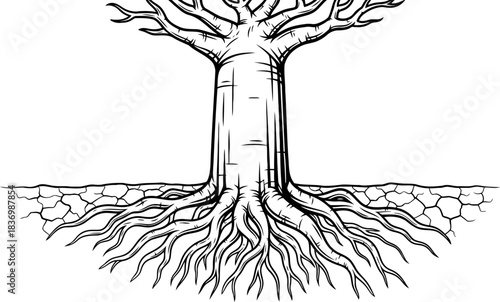rooted resolve natures unseen foundation grips barren earth with steadfast power, isolated on transparent background