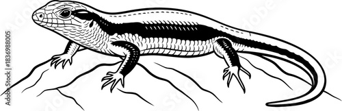 silent observer natures ancient echoes, rendered in striking monochromatic form, isolated on transparent background