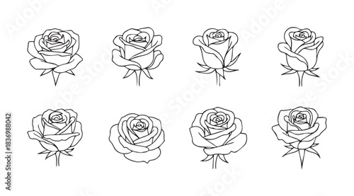 Collection of eight delicate line art rose flowers with detailed petals and stems vector