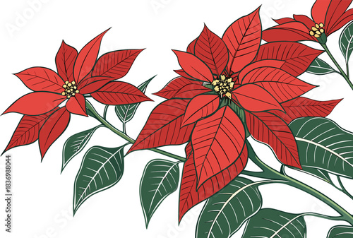 Seamless pattern of festive red and white poinsettia flowers and green leaves, perfect for Christmas holiday decorations or vector floral design