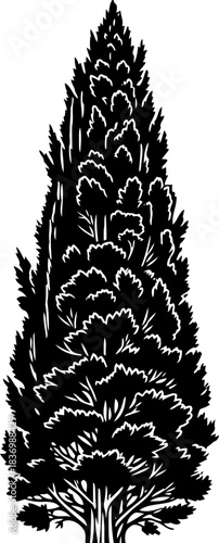 vertical spirit natures enduring ascent, stylized form of growth and serenity, isolated on transparent background