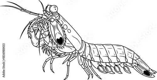 visionary predator an intricate portrait of the oceans most potent gaze, isolated on transparent background