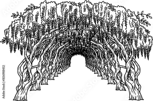 whispering vines a verdant gateway to unseen journeys, isolated on transparent background