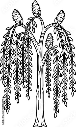 whispering canopy an artistic tribute to natures gentle flow and timeless spirit, isolated on transparent background