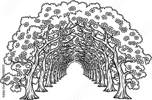 whispering woods passage illustrated gateway to uncharted dreams and future journeys, isolated on transparent background