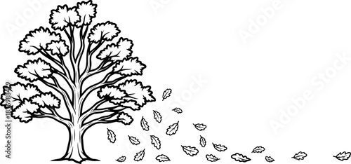 whispers of autumn a trees graceful release into seasonal transformation, isolated on transparent background