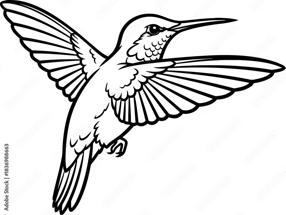 Fototapeta premium aerial acrobat a silhouette of natures swift grace, ready for your vision, isolated on transparent background