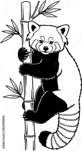 agile arboreal marvel a red pandas silent journey through bamboos embrace, isolated on transparent background