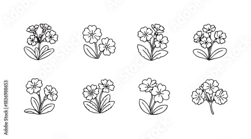 Collection of delicate line art floral illustrations delicate hand drawn botanical art elements vector