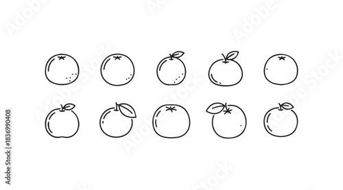 Hand drawn set of ten oranges sketch collection fruit icons fresh food isolated on white vector