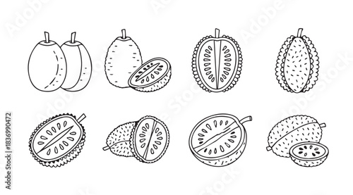 Hand drawn sketches of tropical fruits whole and sliced various exotic produce collection vector