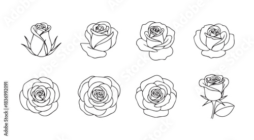 Collection of hand drawn rose outline sketches for artistic floral designs vector
