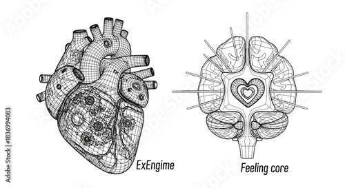 Intricate wireframe anatomical heart with internal gears and abstract brain-like structure symbolizing emotion and mechanics