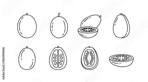 Hand drawn tropical fruits guava and lychee in sketch style for food and health designs vector