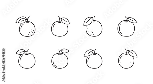 Collection of hand drawn oranges with leaves rustic sketch style fruit icons for fresh juice and healthy food concepts vector