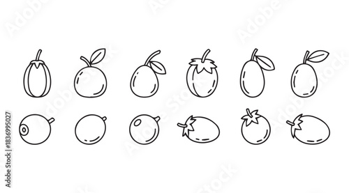 Hand drawn sketch fruit collection featuring apples oranges berries and pears isolated vector