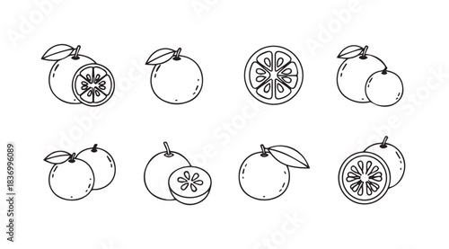 Set of eight hand drawn guava fruit illustrations fresh organic produce food elements collection vector