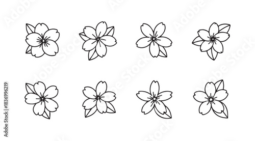 Set of delicate hand drawn cherry blossom flower illustrations artistic sketch botanical element collection vector