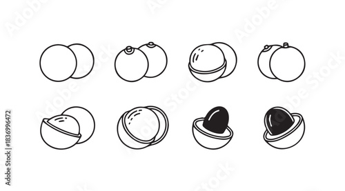Hand drawn line art sketch collection of lychee fruit halves and whole fruits isolated vector
