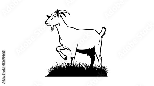 Black horse vector illustration of a cute wild pony standing on nature farm grass isolated on white background with animal silhouette art