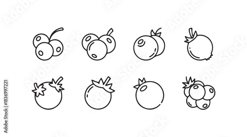 Hand drawn blueberry icons collection fresh berries sketchy food graphics organic fruit elements vector