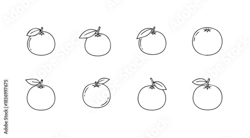 Hand drawn orange fruit collection showing various angles and details with leaf elements vector