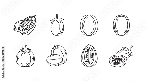 Collection of hand drawn sketch tomatoes and other fruits divided in half vector
