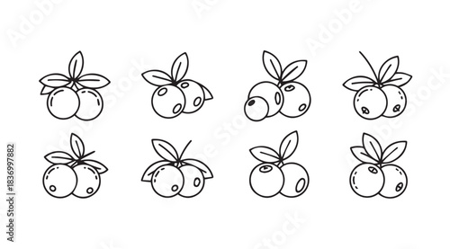 Hand drawn sketchy blueberries fruit berries with leaves in sketchy artistic style isolated vector