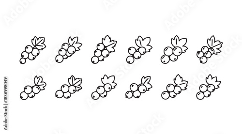 Collection of sketchy hand drawn grape clusters with leaves art elements vector