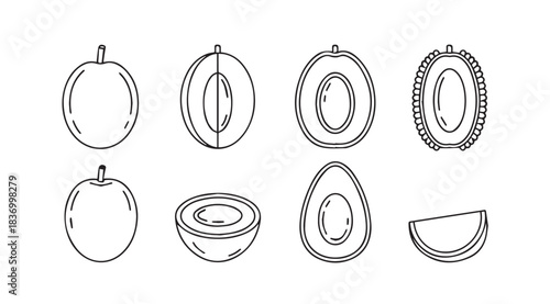 Fresh ripe fruit collection hand drawn sketch elements for healthy eating and cooking vector