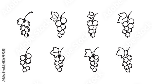 Hand drawn grapes collection sketchy fruit elements agricultural harvest produce organic healthy food art vector