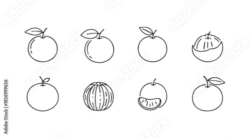 Hand drawn sketch set of oranges and orange slices various stages of peel vector