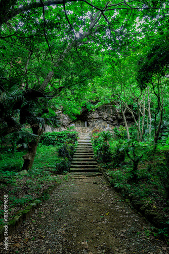  緑に包まれた石垣島の仲間満慶山英極の墓の静かな風景