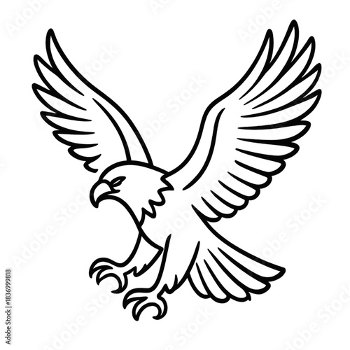 dove of peace
Falcon 
Eagle 
Eagle eye 
Vector design 
Graphic design 
