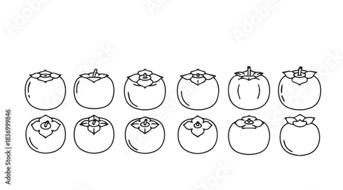 Hand drawn persimmon fruit collection set outline icons fresh organic fruit food harvest vector