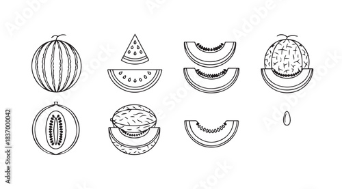 Set of hand drawn watermelon and melon slices and whole fruits in line art style vector